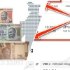 1 Rupee Bằng Bao Nhiêu Tiền Việt Nam 2026 Sự Thật Ngờ Ng Certain Ngờ Ng Certain
