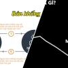 Bán Khống Chứng Khoán Là Gì Hé Lộ Sự Thật Cay Đắng