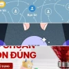 Bộ lọc Cổ Phiếu Tốt Nhất 2026: Vũ khí bí mật hay ảo tưởng đắt giá?