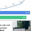 Bóc Trần Lương Môi Giới Chứng Khoán: Liệu Có Giàu Nhanh Như Lời Đồn?