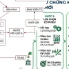 Cách Thức Giao Dịch Chứng Khoán: Bí Mật Ít Ai Ngờ