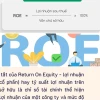 Chỉ Số ROE Nói Lên Điều Gì? Phân Tích Gai Góc & Số Liệu Thực Tế