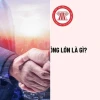 Cổ đông lớn là gì Bóc trần quyền lực và trách nhiệm