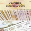 Cổ Phiếu Giấy: Ngành Lĩnh Giấy & Lâm Sản Báo Động Đầu Tư 2026