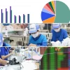 Cổ Phiếu Ngành Dệt May 2026: Bức Tranh Lợi Nhuận Hay Khủng Hoảng?
