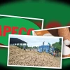 Cổ phiếu Nông sản Thực phẩm Quảng Ngãi: Tiềm năng hay Cạm bẫy 2026?