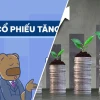 Cổ Phiếu Tăng Trưởng Là Gì? Sự Thật Sai Lệch Nhà Đầu Tư Mới Thường Mắc Phải