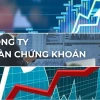 Công ty lên sàn chứng khoán để làm gì: Lợi ích và Điều kiện Bất ngờ