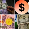 Dollar to Rupees Chuyển Đổi: Sự Thật Đằng Sau Tỷ Giá 2026