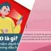 Fomo Là Gì Trong Chứng Khoán Bẫy Tâm Lý Đáng Sợ Năm 2026