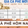 Giá cà phê hôm nay 2026: Thật hay ảo tưởng về nguồn cung?