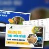 Giá Cao Su Thế Giới Hôm Nay 2026: Tăng Hay Giảm? Phân Tích Đa Chiều