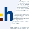 Giá Cổ Phiếu HCM: Đâu Là Sự Thật Phía Sau Con Số?