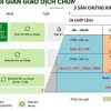 Giờ Giao Dịch Chứng Khoán Việt Nam 2026: Phá Vỡ Lầm Tưởng, Tối Ưu Lợi Nhuận