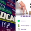 Midcap trong Chứng khoán là gì? Giải mã nhóm cổ phiếu 'vừa đủ tốt'