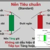 Nến Tiêu Chuẩn Bí Ẩn Lợi Nhuận Hay Lời Nguyền Đầu Tư?