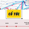 Nhận Cổ Tức Bằng Cổ Phiếu Có Lợi Không? Phân Tích Toàn Diện 2026