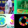 Peace Network Bị Lờ Đi Thực Tế Nào? Phân Tích Gai Góc 2026