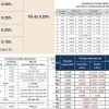 Phí Giao Dịch Chứng Khoán Của Các Công Ty : Lời Giải Cho Nhà Đầu Tư Thông Thái 2026
