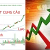 Quy luật Tăng Giảm Cổ phiếu: Hiểu Đúng Để Không Mất Tiền