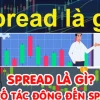 Spread Trong Chứng Khoán Là Gì? Lời Giải Đáp Gai Góc Cho Nhà Đầu Tư Mới