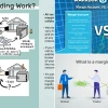 Tài Khoản Margin: Đòn Bẩy Hay Con Dao Hai Lưỡi Cho Nhà Đầu Tư?