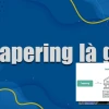 Tapering Là Gì? Sự Thật Gai Góc Đằng Sau Chiến Lược Chạy Bộ và Tài Chính