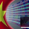 Tìm Hiểu Chứng Khoán Việt Nam Tại Sao Bạn Vẫn Mơ Hồ?
