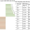 Top 10 Cổ Phiếu Tăng Giảm Mạnh Nhất Tuần: Phân Tích Sâu và Góc Nhìn Tranh Cãi 2026