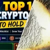 Top 100 Đồng Coin Năm 2026: Sự Thật Bị Giấu Kín và Góc Nhìn Gai Góc