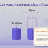 Tỷ Lệ Margin Là Gì? Lật Tẩy Đòn Bẩy Tài Chính Hay Bẫy Rủi Ro?
