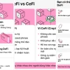 Ví DeFi Là Gì? Sự Thật Gai Góc Đằng Sau Tiền Mã Hóa Phi Tập Trung