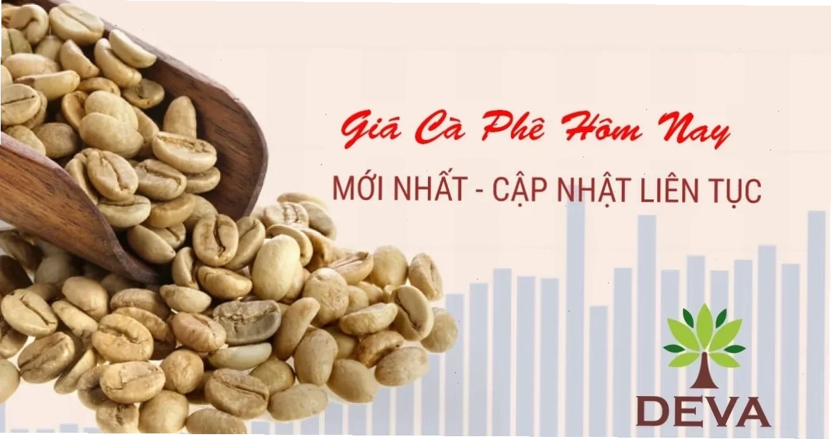 Bảng giá cà phê hôm nay tại kho hàng hóa
