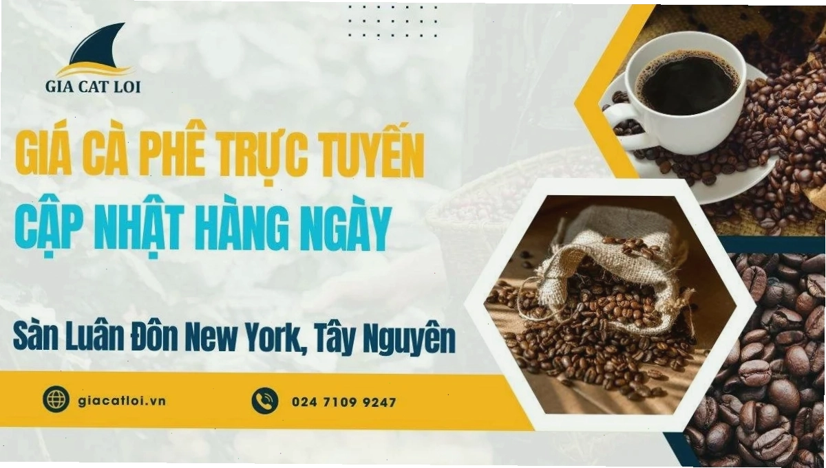 Bảng Giá Cà Phê Trực Tuyến Sàn Luân Đôn New York Tây Nguyên