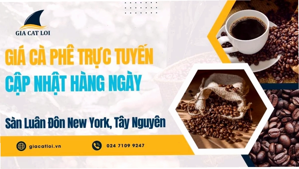 Bảng Giá Cà Phê Trực Tuyến Sàn Luân Đôn, New York, Tây Nguyên