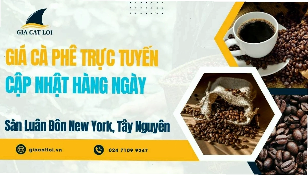 Bảng Giá Cà Phê Trực Tuyến Sàn Luân Đôn, New York, Tây Nguyên