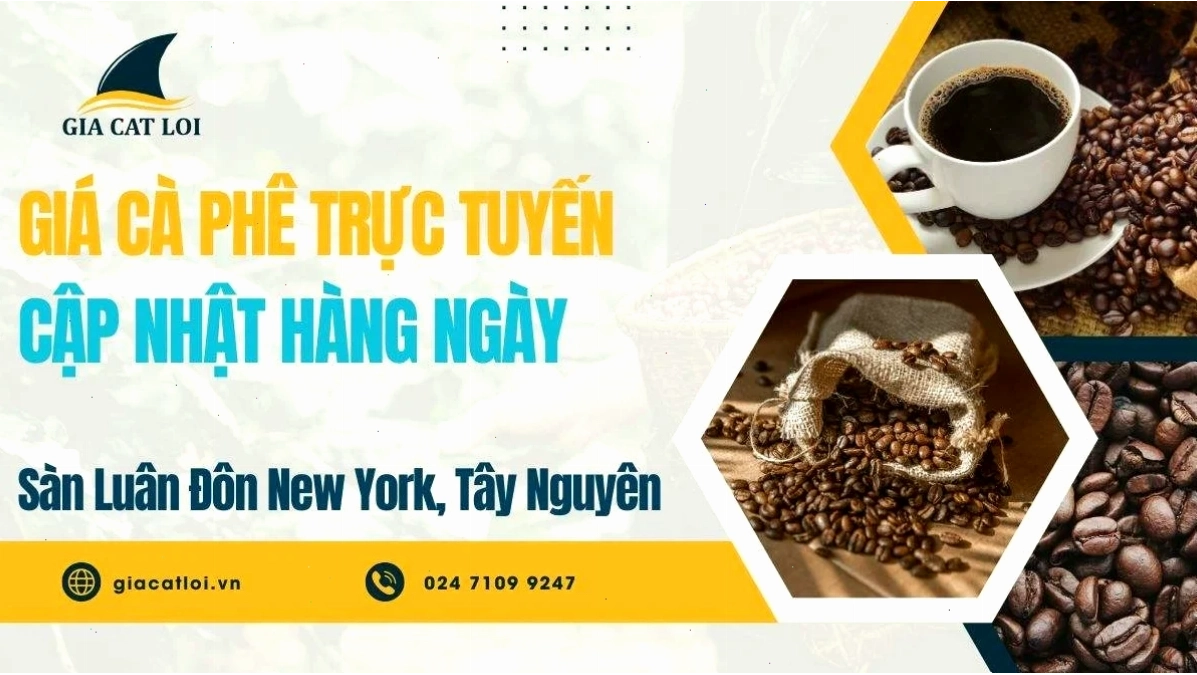 Bảng Giá Cà Phê Trực Tuyến Sàn Luân Đôn New York Tây Nguyên