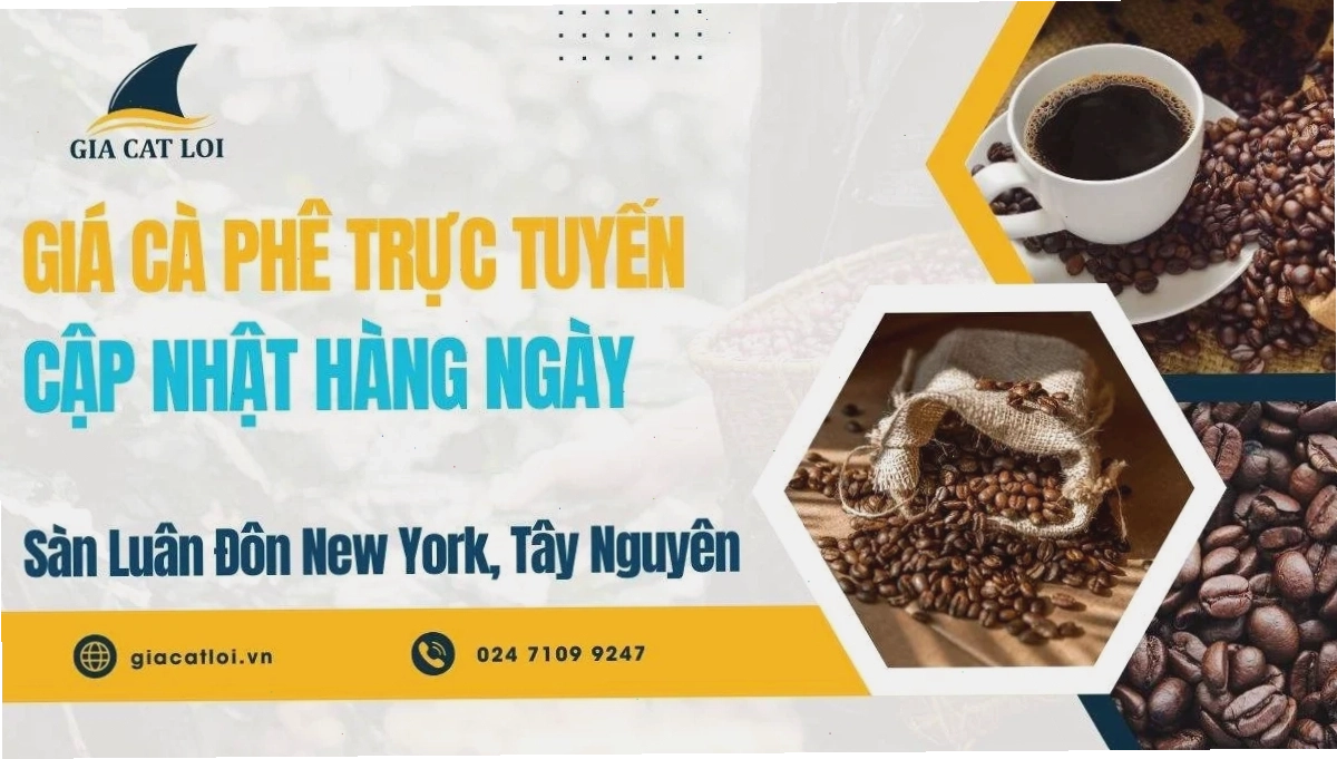 Bảng Giá Cà Phê Trực Tuyến Sàn Luân Đôn, New York, Tây Nguyên