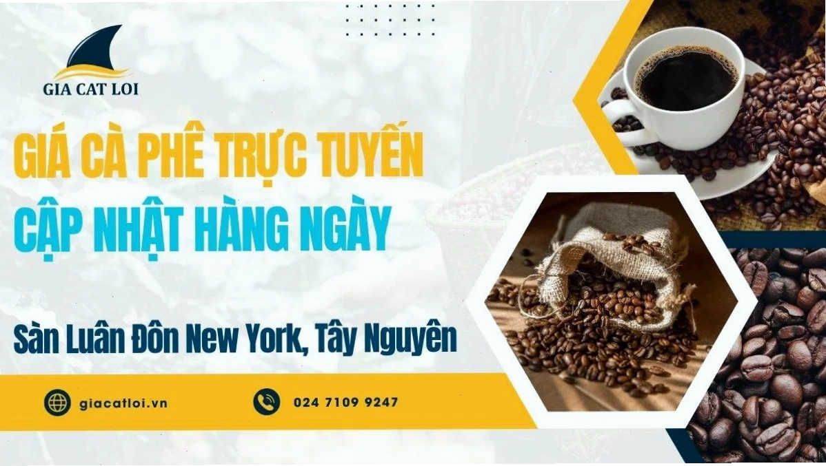 Bảng Giá Cà Phê Trực Tuyến Sàn Luân Đôn, New York, Tây Nguyên