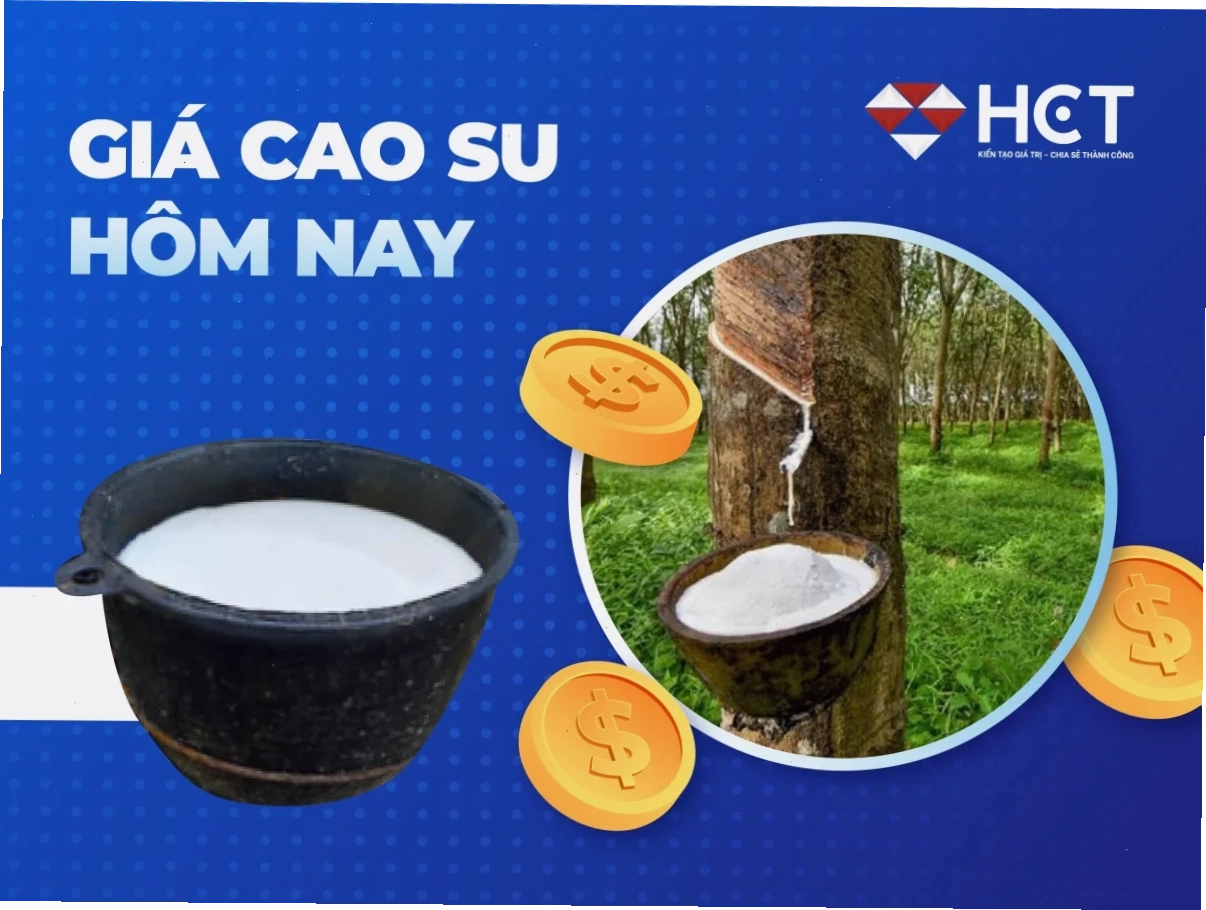 Bảng giá cao su trực tuyến biến động theo ngày