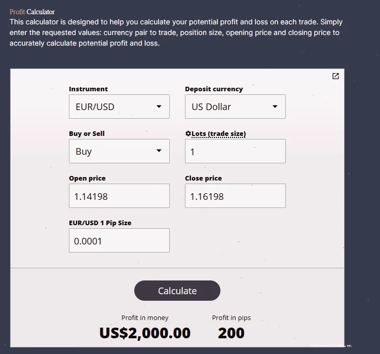 Bảng tính chi tiết hiển thị kết quả tính lãi lỗ forex