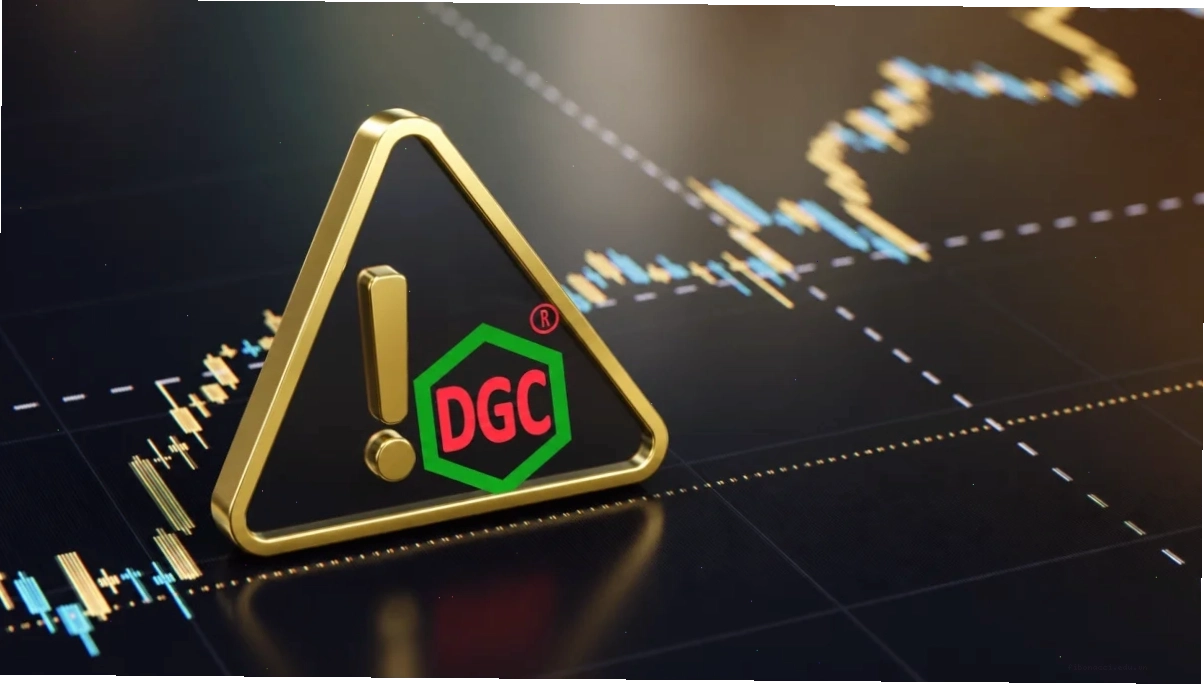 Báo cáo tài chính của Cổ phiếu Đức Giang