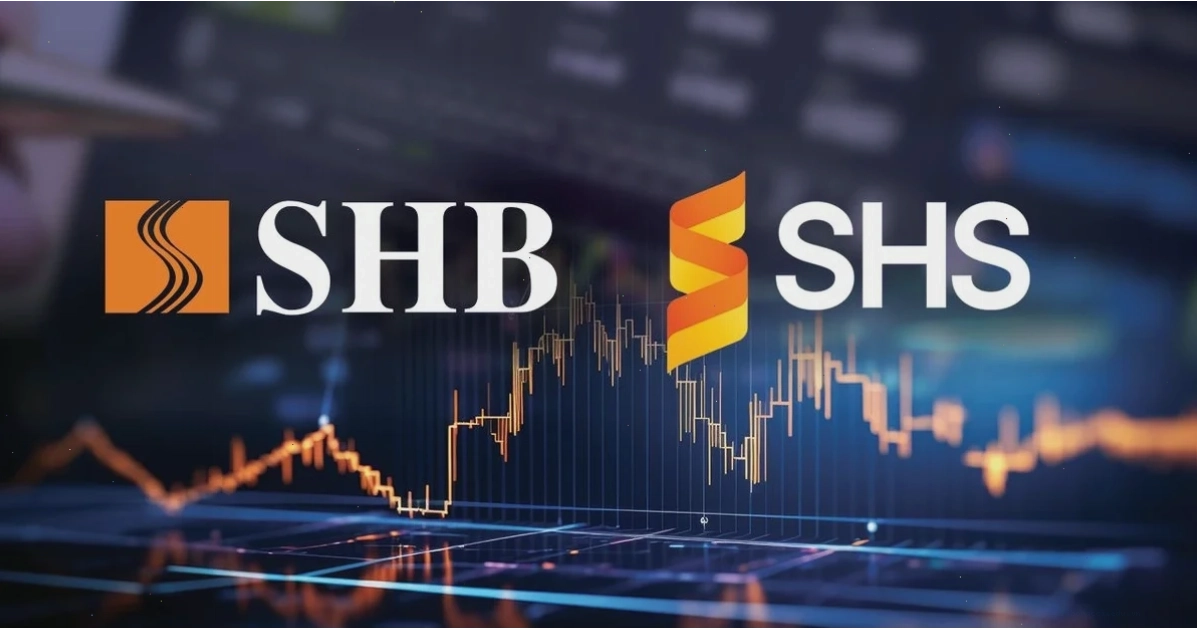 Báo cáo tài chính của SHS