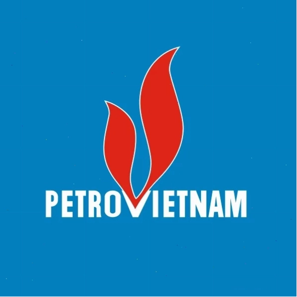 Báo cáo tài chính của Tổng Công ty Khí Việt Nam