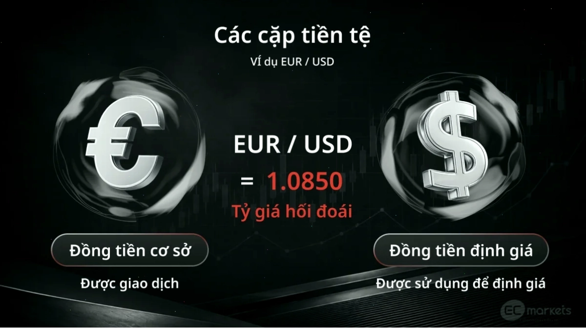 Biểu đồ chuyển đổi USD sang VND theo thời gian thực