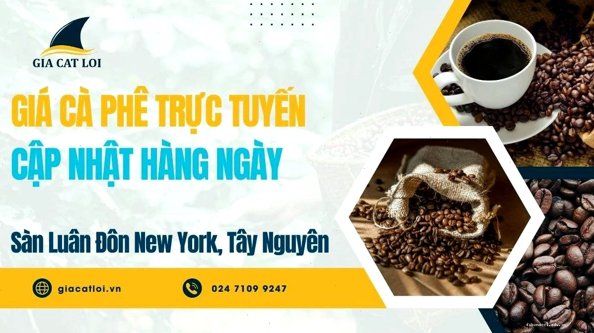 Biểu đồ giá cà phê Việt Nam và biến động thị trường quốc tế