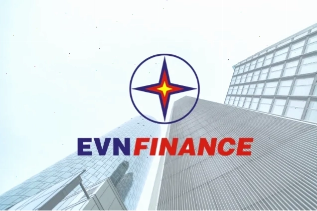 Biểu đồ giá cổ phiếu EVF qua các năm
