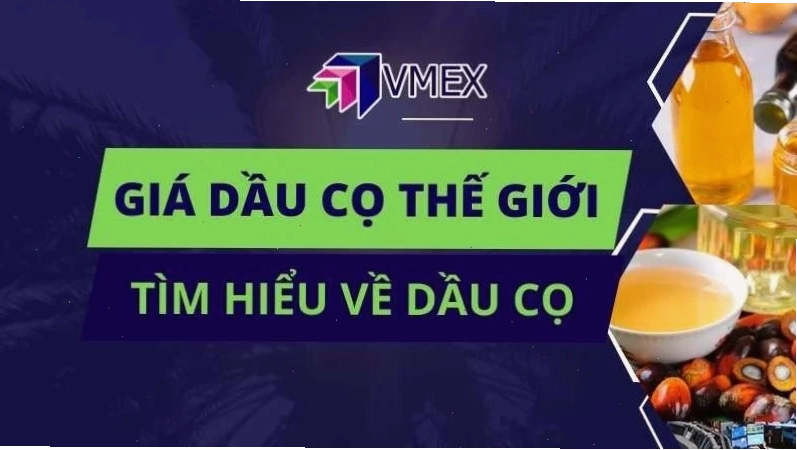 Biểu đồ giá dầu cọ thế giới hôm nay biến động theo tháng