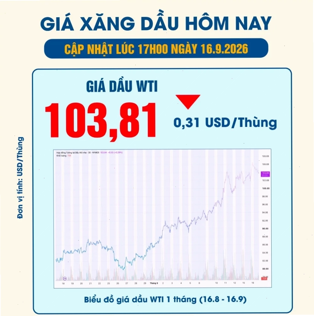 Biểu đồ giá dầu cọ theo tháng 2026