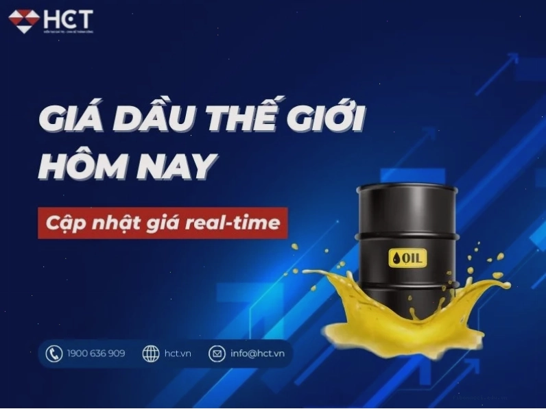 Biểu đồ giá dầu nành thế giới hôm nay cho thấy xu hướng biến động